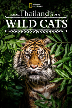 Thailand’s Wild Cats Free Download