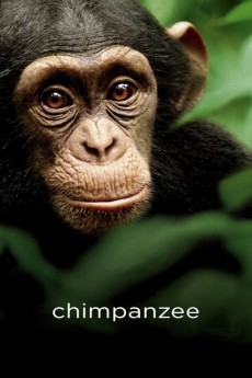 Chimpanzee Free Download