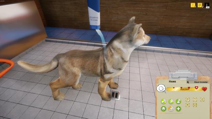 Animal Shelter Update v1 2 6 Torrent Download