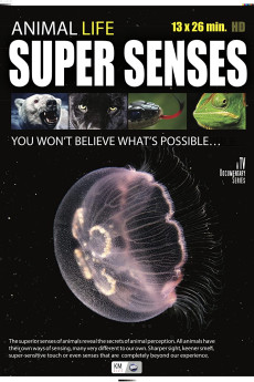 Super Senses Free Download