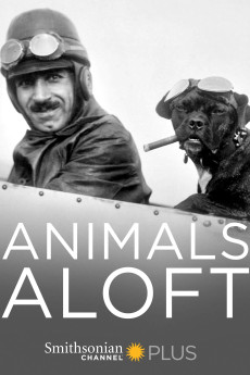 Animals Aloft Free Download