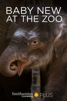 Baby New at the Zoo Free Download