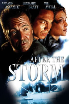 After the Storm Free Download