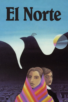 El Norte 644a6eb0740cf.jpeg