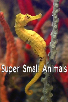 Super Small Animals Free Download