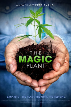 The Magic Plant Free Download