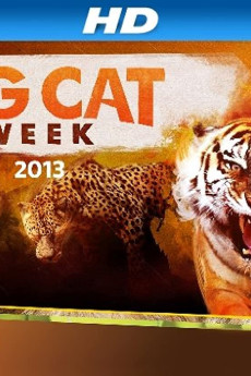 Big Cat Week Big Cat Games Free Download