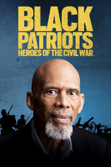 Black Patriots: Heroes Of The Civil War 645d8f8757e8e.jpeg