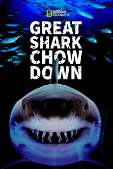 Great Shark Chow Down Free Download