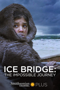 Ice Bridge: The Impossible Journey 64693d1410b40.jpeg
