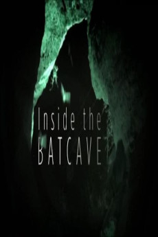 Inside The Bat Cave 64550f6ef3487.jpeg