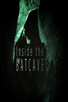 Inside the Bat Cave Free Download