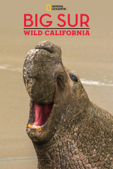 National Geographic Explorer Big Sur-Wild California Free Download