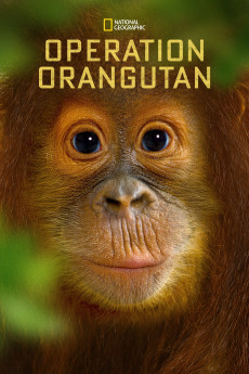 National Geographic Specials Operation Orangutan Free Download