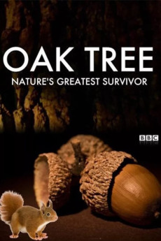 Oak Tree: Nature’s Greatest Survivor Free Download