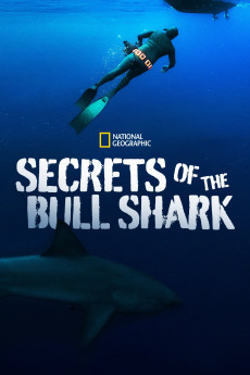 Secrets of the Bull Shark Free Download