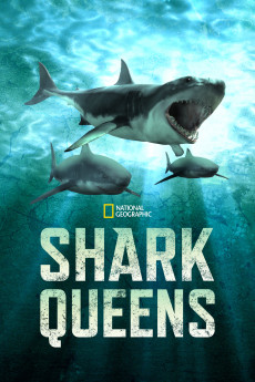 Shark Queens Free Download