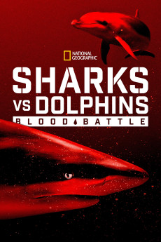 Sharks Vs. Dolphins: Blood Battle 6466657f60a64.jpeg