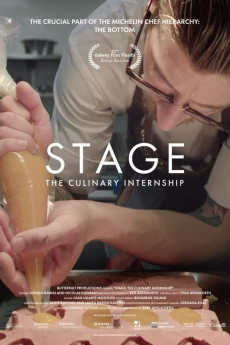 Stage: The Culinary Internship Free Download
