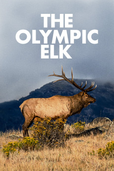 The Olympic Elk 6466326a2b6a9.jpeg