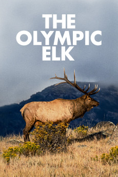 The Olympic Elk Free Download