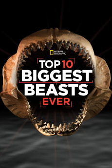 Top 10 Biggest Beasts Ever Free Download