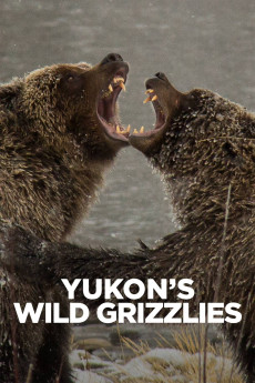 Yukon’s Wild Grizzlies Free Download