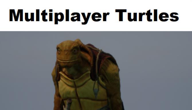 Multiplayer Turtles 647cf1920bd7f.jpeg