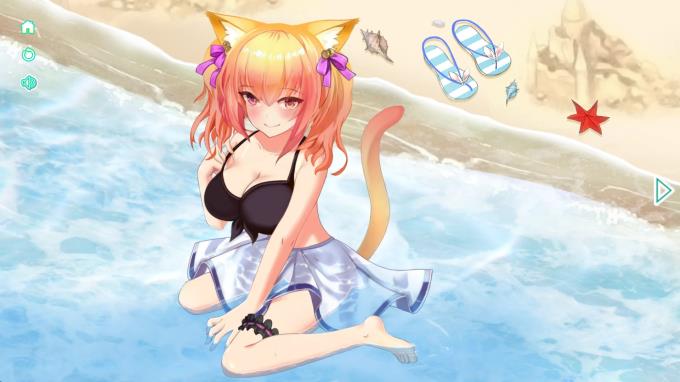 Neko Beach PC Crack