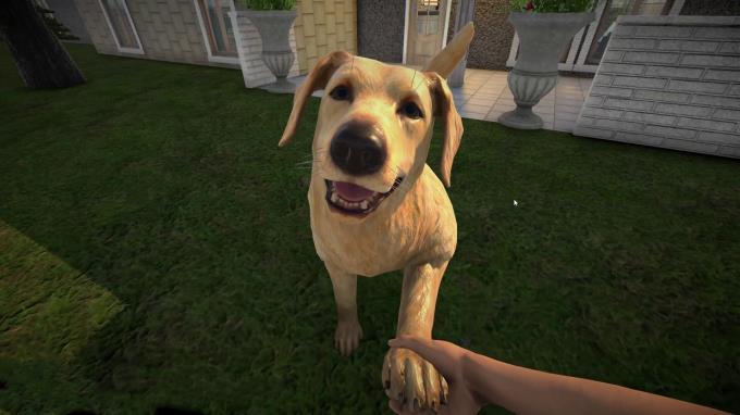 Pets Hotel Update v1 0 5 Torrent Download