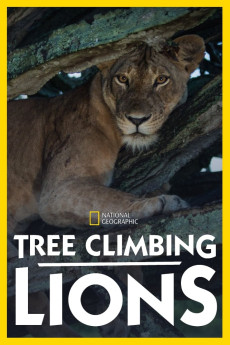 Tree Climbing Lions Free Download