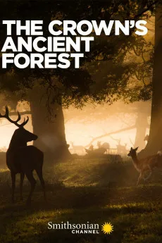 The Crown’s Ancient Forest Free Download