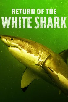 Return of the White Shark Free Download