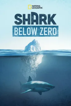 Shark Below Zero Free Download