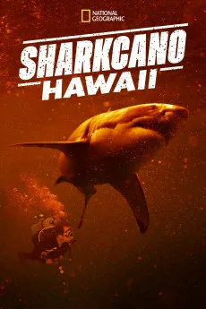 Sharkcano: Hawaii Free Download