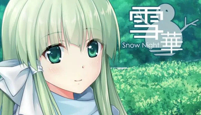 SnowNight Free Download