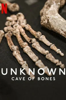 Unknown: Cave of Bones Free Download