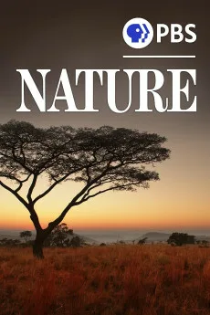 Nature Moment of Impact: Hunters and Herds Free Download