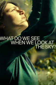 What Do We See When We Look at the Sky? Free Download
