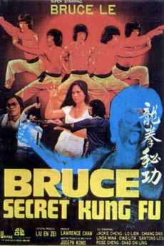 Bruce’s Secret Kung Fu Free Download