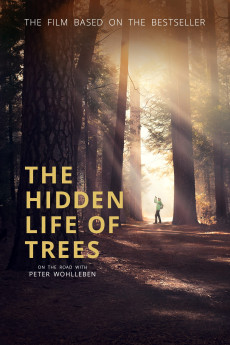 The Hidden Life of Trees Free Download