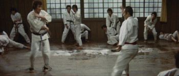 Karate baka ichidai (1977) download