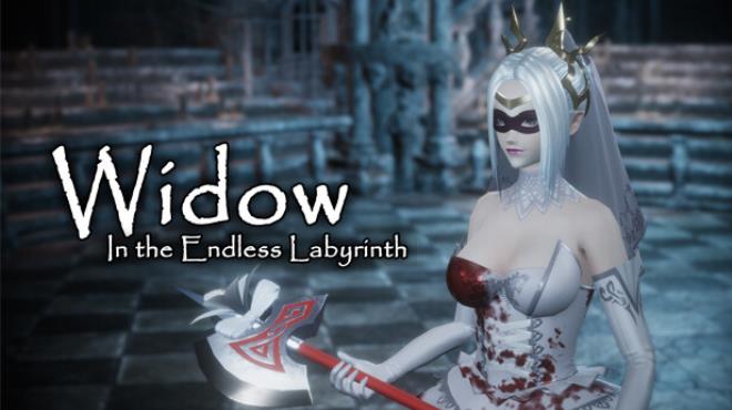 Widow in the Endless Labyrinth Update v1 1 0-TENOKE Free Download