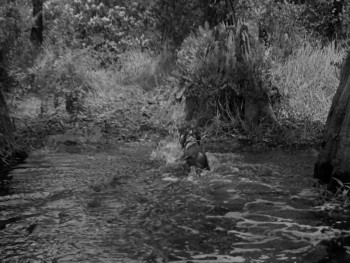 Swamp Water (1941) download