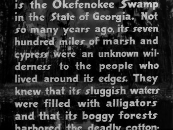 Swamp Water (1941) download