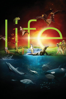 Life Free Download