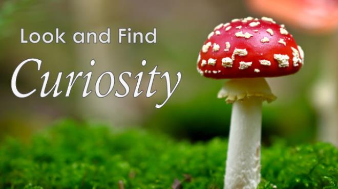 Look and Find – Curiosity Free Download