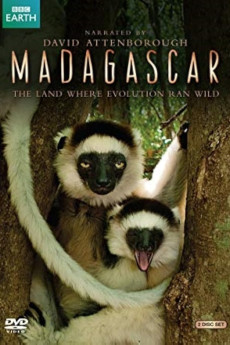 Madagascar Free Download