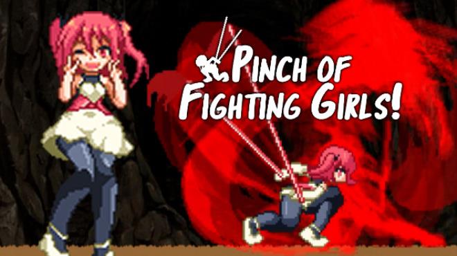 Pinch of Fighting Girls Free Download