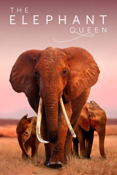 The Elephant Queen Free Download